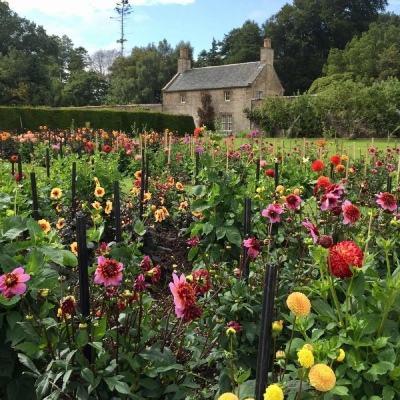 万博全站(ManBetX)下载手机版